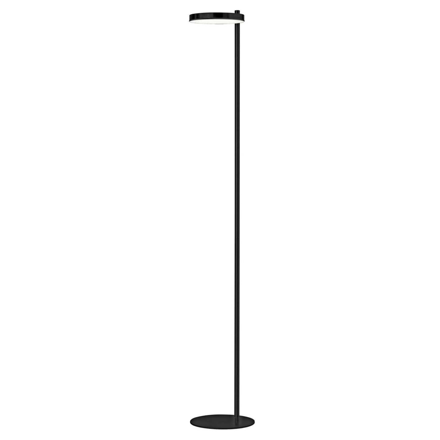 Lampadaire Dainolite Fia 1 Light LED Noir Mat|Lampe à pied Fia de Dainolite avec finition noire mate et 1 ampoule à DEL