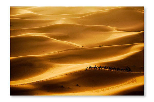Camel Caravan 28x42 Cadre d’art mural et panneau en tissu| Camel Caravan 28 po x 42 po : Cadre d'art mural et panneau de tissu|D44GXUAC
