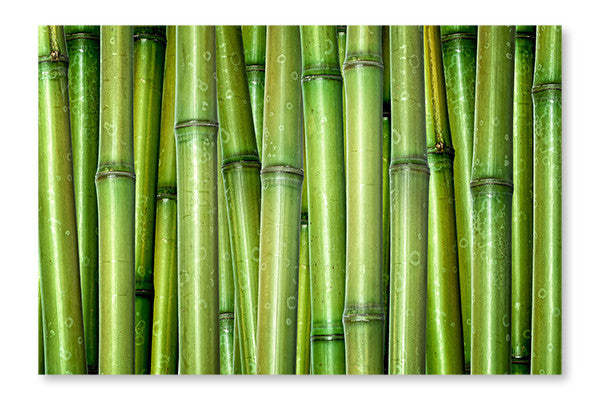 Cadre mural et panneau de tissu « Fresh Bamboo Background 28x42 » | D44G8YVB