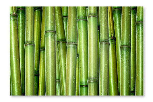 Cadre mural et panneau de tissu « Fresh Bamboo Background 28x42 » | D44G8YVB