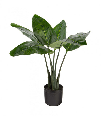 Artificiel 31 Oiseau De Paradis Intérieur Et Extérieur En Pot Noir | Oiseau du paradis artificiel de 31 po pour l'intérieur et l'extérieur en pot noir | D10HTO7W