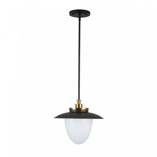 Dahlia 1 Lumière Suspension 15, Lampe Noire | Suspension A 1 lampe Dahlia De 15 po, Noire