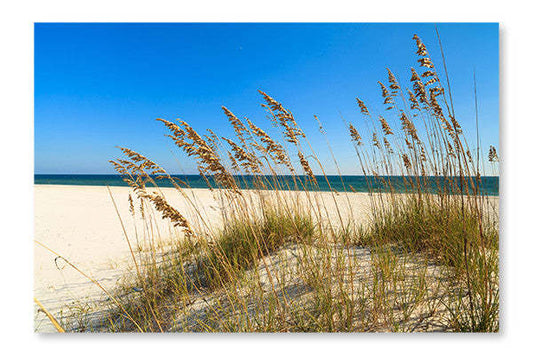 Cadre mural et panneau en tissu « Beautiful Beach » 28 x 42 po | Beautiful Beach 28 po x 42 po : Cadre d'art mural et panneau de tissu | D44GS9R9