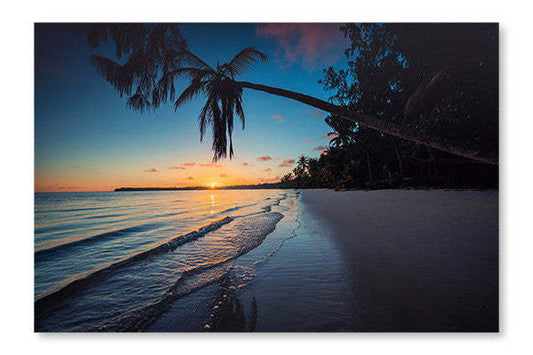 Palmiers et plage tropicale à Punta Cana, République dominicaine : Cadre mural et panneau de tissu 28 x 42 po | Palmiers et plage tropicale à Punta Cana, République dominicaine : Cadre mural et panneau de tissu | D44GBF7O