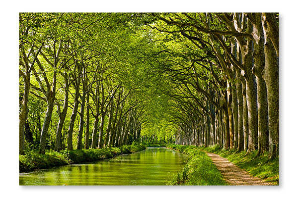 Look printanier sur cadre d’art mural et panneau en tissu Canal Du Midi 28x42| Look Printemps Sur Canal Du Midi 28 po x 42 po : Cadre d'art mural et panneau de tissu|D44GLGQZ