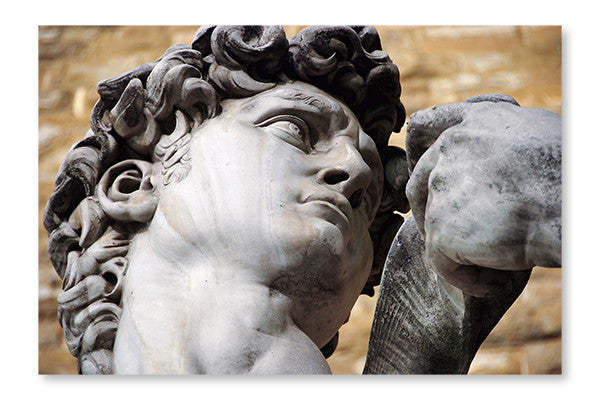 Statue de David par Michel-Ange à Florence, cadre mural et panneau en tissu 16 x 24 po | Statue de David par Michel-Ange à Florence, cadre mural et panneau en tissu 16 x 24 po | D44GTBHR