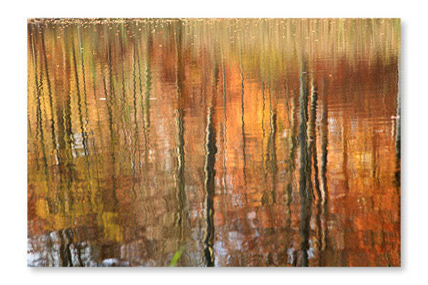 Autumn Forest Reflection 28x42 Wall Art Frame And Fabric Panel| Autumn Forest Reflection 28 po x 42 po : Cadre d'art mural et panneau de tissu|D44G8LRF