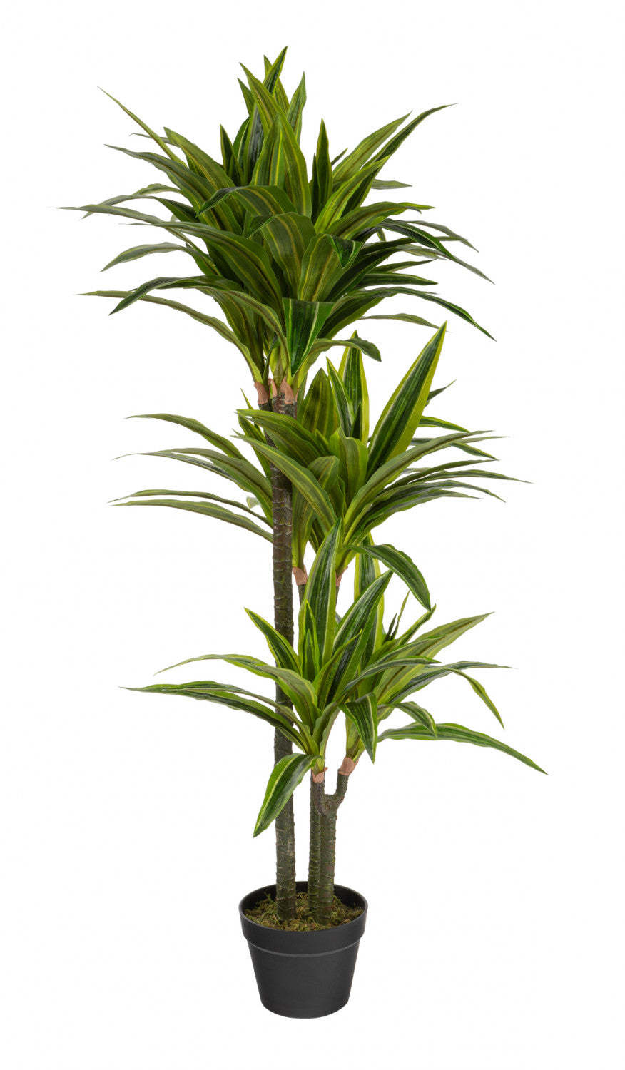Artificiel 47 Dracaena en pot noir | Dracaena artificiel de 47 po en pot noir | D10HOW1K