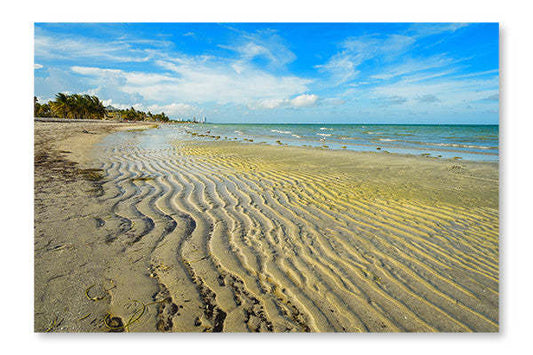 Crandon Park Beach Cadre d'art mural et panneau en tissu 28 x 42 | Crandon Park Beach 28 po x 42 po : Cadre d'art mural et panneau de tissu|D44GI4A5