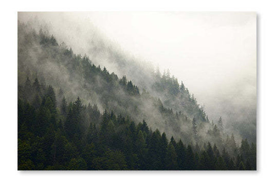Forêt brumeuse 16 x 24 po : Cadre d'art mural et panneau de tissu | Forest Fog 16 po x 24 po : Cadre d'art mural et panneau de tissu | D44G3RGC