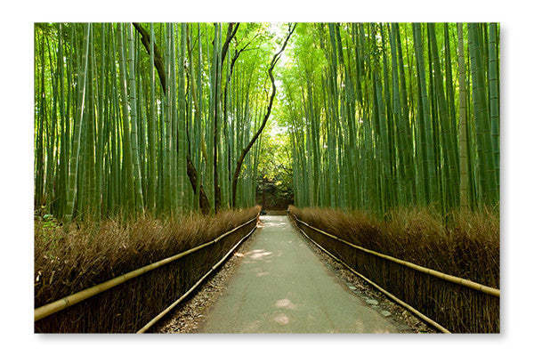 Bamboo Grove 28x42 : Cadre d'art mural et panneau de tissu | Bamboo Grove 28 po x 42 po : Cadre d'art mural et panneau de tissu | D44GA5NI