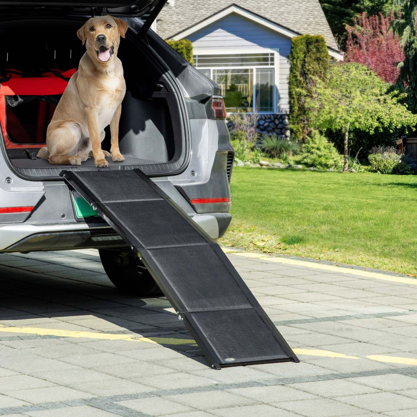 Pawhut Rampe Pliante Pour Animaux De Compagnie, Rampe Portable Légère De 62 Pouces Pour Chiens Très Grands, Surface Antidérapante