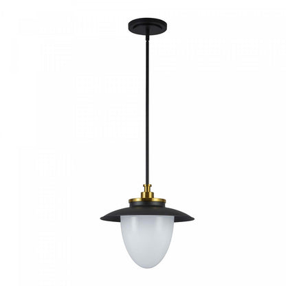 Dahlia 1 Lumière Suspension 15, Lampe Noire | Suspension A 1 lampe Dahlia De 15 po, Noire