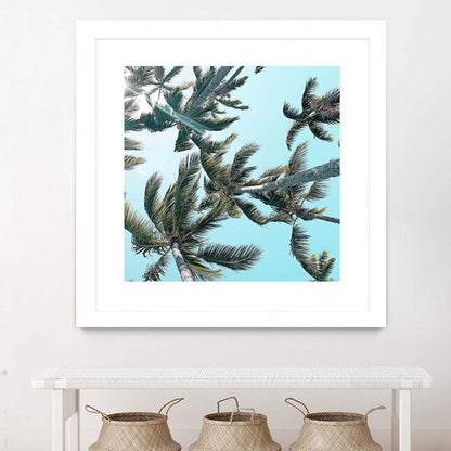 Palm 03 Matted and Framed White 36x36 Wall Art|Œuvre d'art murale encadrée blanche et mate « Palm 03 » 36 x 36