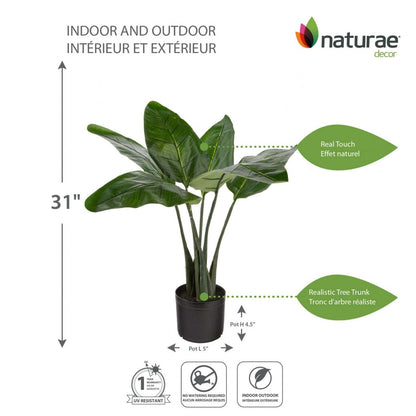 Artificiel 31 Oiseau De Paradis Intérieur Et Extérieur En Pot Noir | Oiseau du paradis artificiel de 31 po pour l'intérieur et l'extérieur en pot noir | D10HTO7W