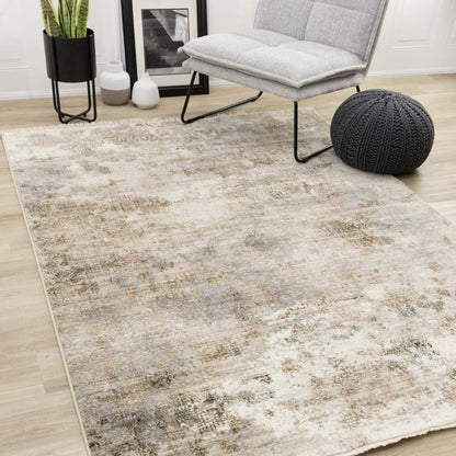 Sydney Beige Grey Cream Distressed Area Rug - 5'3 x 7'10|Carpette Sydney beige, grise et crème à motif vieilli - 5 pi 3 po x 7 pi 10 po