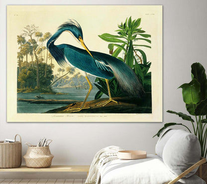 Œuvre d'art murale géante « Louisiana Heron Plate 217 » 72 x 54