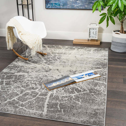 Tapis Roma Antigua 7x10 | Tapis Roma Antigua 7 x 10 | D80GD7Y0