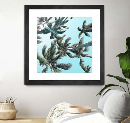 Palm 03 Matted and Framed Black 36x36 Wall Art|Œuvre d'art murale encadrée noire et mate « Palm 03 » 36 x 36