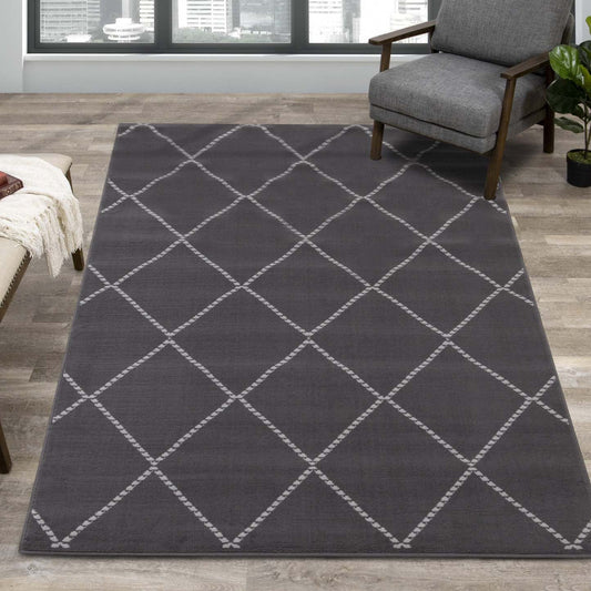 Florence Trellis Design Indoor Area Rug - 4'7 x 6'7|Carpette Florence à motif treillis pour l'intérieur - 4 pi 7 po x 6 pi 7 po