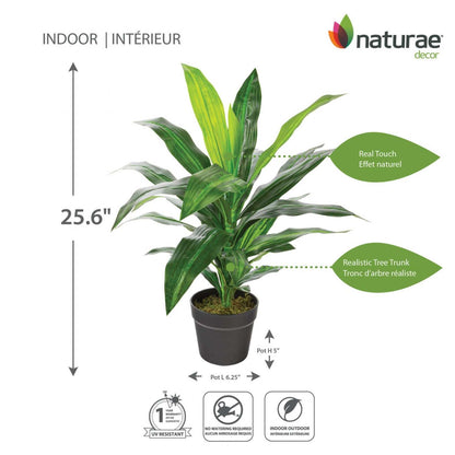 Artificiel 25 Dracaena en pot noir | Dracaena artificiel de 25 po en pot noir | D10HINJR