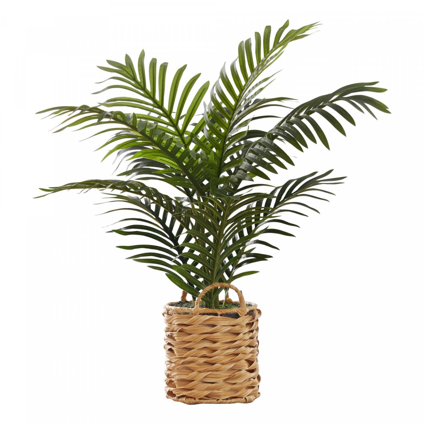 Palmier 24" Plante Artificielle|Plante artificielle palmier 24 po