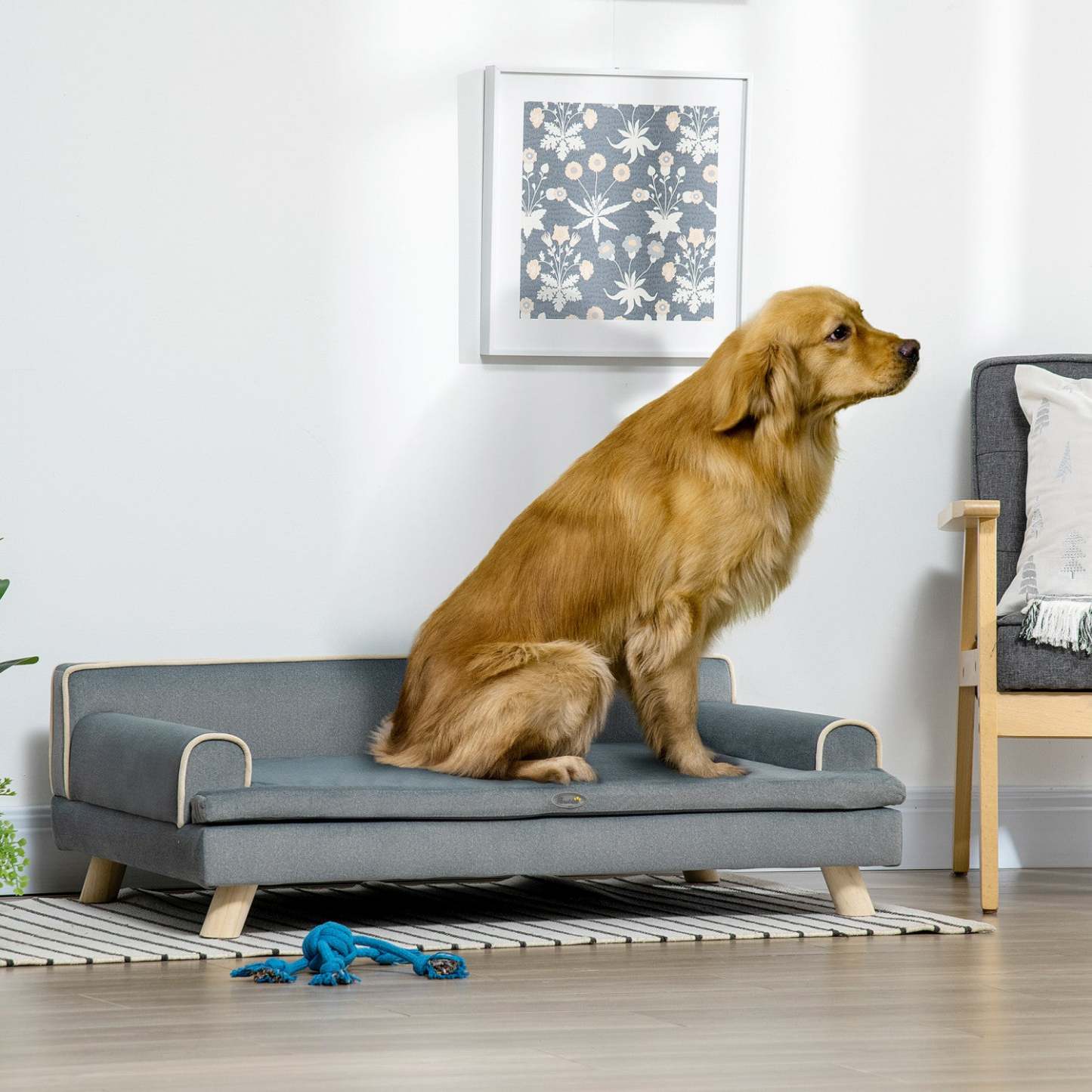 Sofa pour chien Pawhut, canapé pour chat de 39 pouces avec coussin amovible, housse lavable, pieds en bois, sofa pour chat surélevé pour chiens de taille moyenne et grande, gris foncé