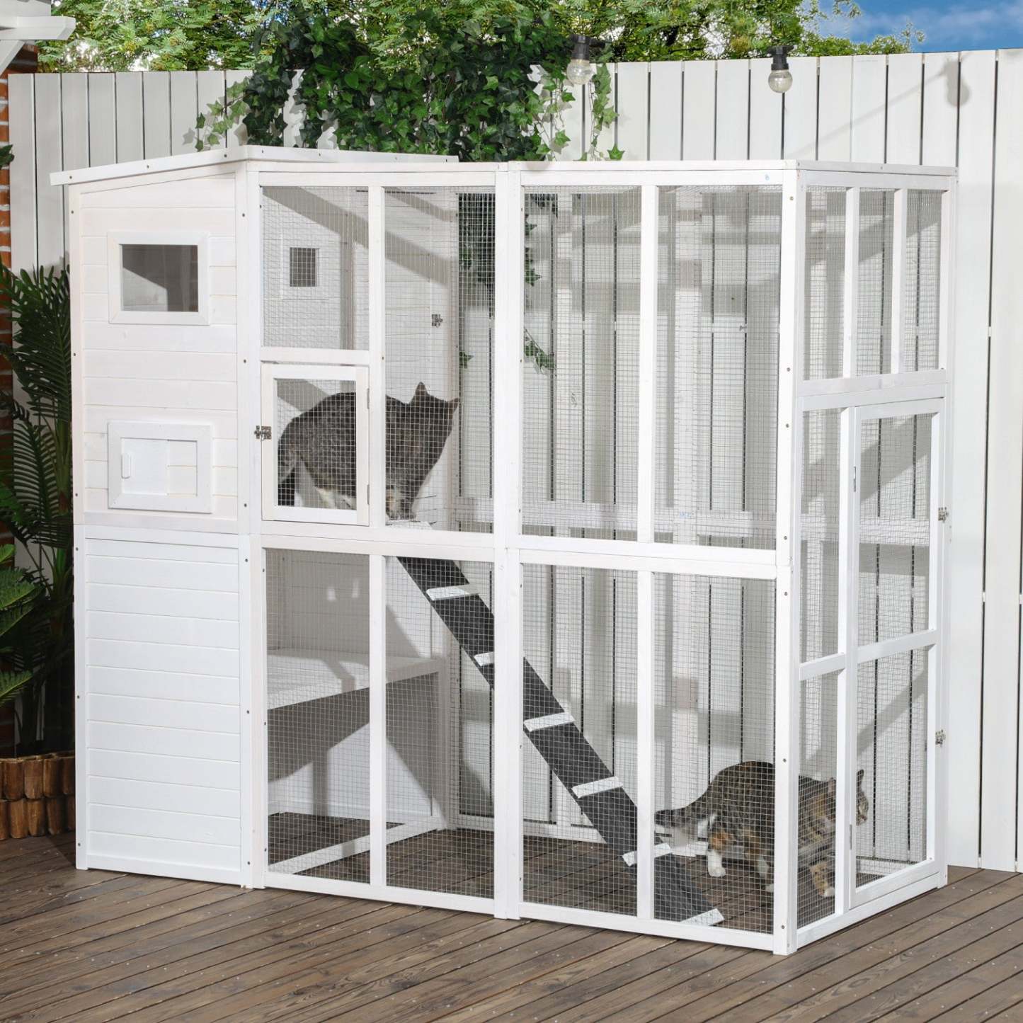 Pawhut Grande Catio Enclos Extérieur Pour Chats Maison Pour Chats prévisionnel Avec Condo Pour Chats, Chat En Bois Intérieur