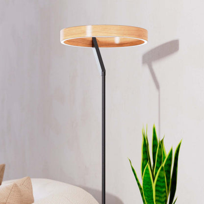 63 Matte Black Modern LED Lampadaire |Lampe à pied moderne de 63 po noir mat à DEL