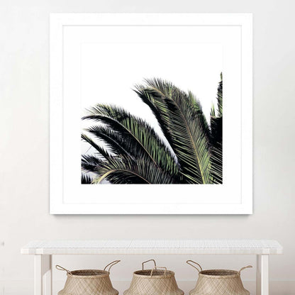 Cape Storm Matted and Framed White 36x36 Wall Art|Œuvre d'art murale encadrée blanche et mate « Cape Storm » 36 x 36