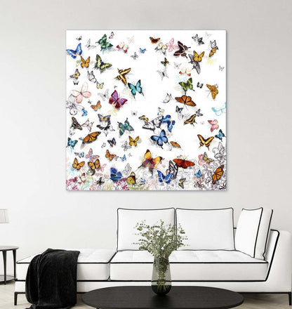Papillon Giant Art 72x72 Wall Art|Œuvre d'art murale Giant Art « Papillon » 72 x 72