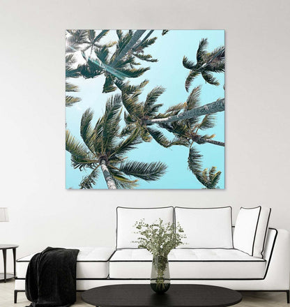 Palm 03 Giant Art 72x72 Wall Art|Œuvre d'art murale Giant Art « Palm 03 » 72 x 72