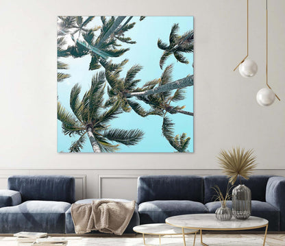 Palm 03 Giant Art 72x72 Wall Art|Œuvre d'art murale Giant Art « Palm 03 » 72 x 72