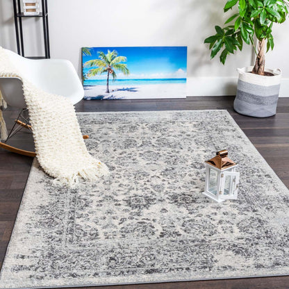 Tapis Roma Fantasia gris 4x6 | Tapis Roma Fantasia grise 4 x 6 | D80G2CY8