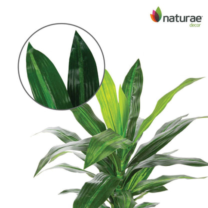 Artificiel 25 Dracaena en pot noir | Dracaena artificiel de 25 po en pot noir | D10HINJR
