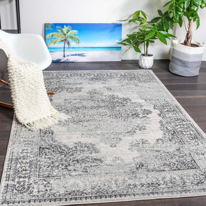 Roma Grey Flake 4x6 Area Rug | Carpette Roma Flake grise 4 x 6 | D80GC4WX