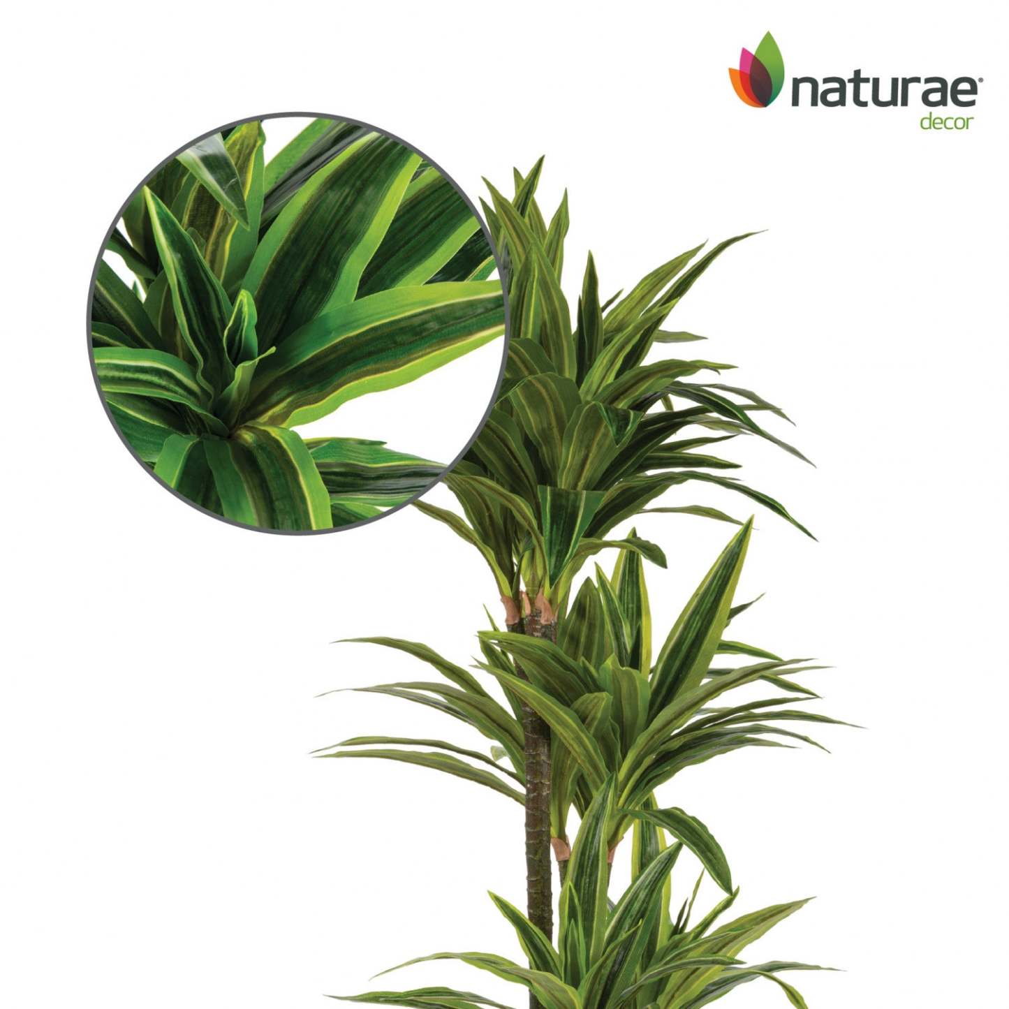 Artificiel 47 Dracaena en pot noir | Dracaena artificiel de 47 po en pot noir | D10HOW1K