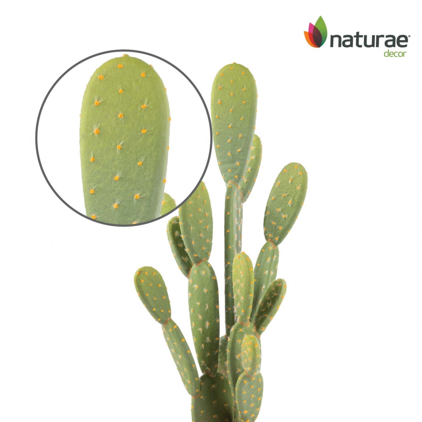 Cactus artificiel à 21 oreilles de lapin dans un pot en terre cuite | Cactus opuntia artificiel de 21 po en pot terre cuite | D10H1ZWS