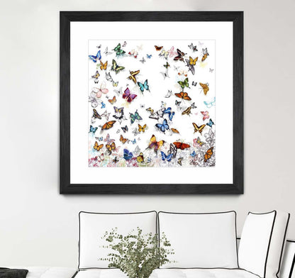 Papillon Matted and Framed Black 36x36 Wall Art|Œuvre d'art murale encadrée noire et mate « Papillon » 36 x 36