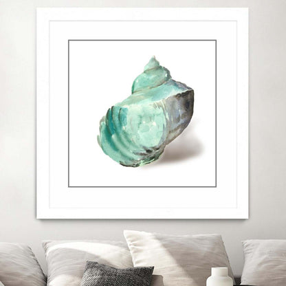 Œuvre murale encadrée blanche et mate « Shell In Mint » 36 x 36