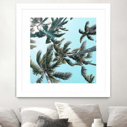 Palm 03 Matted and Framed White 30x30 Wall Art|Œuvre d'art murale encadrée blanche et mate « Palm 03 » 30 x 30