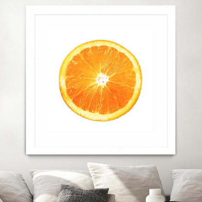 Œuvre d'art murale imprimée blanche et mate « Citrus Cultivar » 30 x 30