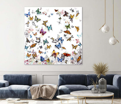 Papillon Giant Art 72x72 Wall Art|Œuvre d'art murale Giant Art « Papillon » 72 x 72