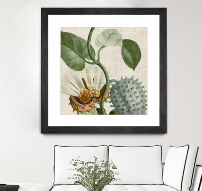 Œuvre d’art murale encadrée noire et mate « Cropped Turpin Tropicals Ii » 30 x 30