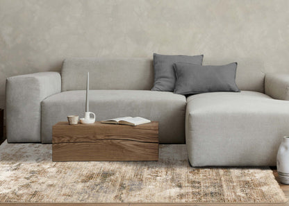 Sydney Beige Grey Cream Distressed Area Runner - 2'0 x 7'10|Couloir vieillir Sydney beige, gris et crème - 2 pi 0 po x 7 pi 10 po