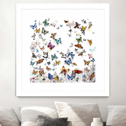Papillon Matted and Framed White 30x30 Wall Art|Œuvre d'art murale encadrée blanche et mate « Papillon » 30 x 30