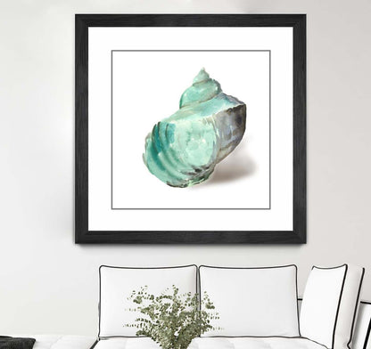 Œuvre murale encadrée noire et mate « Shell In Mint » 30 x 30