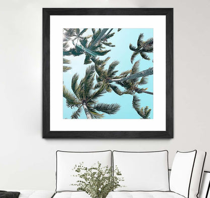 Palm 03 Matted and Framed Black 36x36 Wall Art|Œuvre d'art murale encadrée noire et mate « Palm 03 » 36 x 36