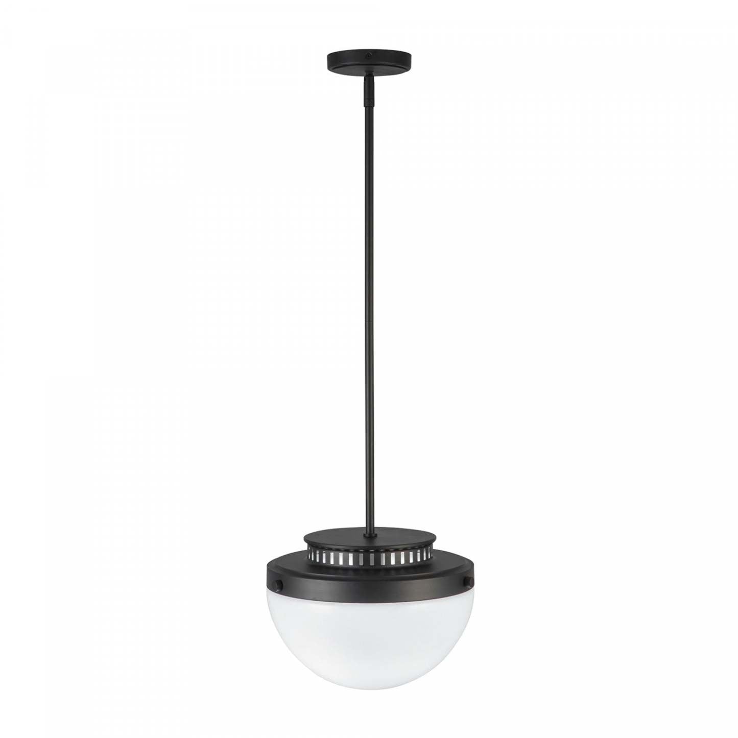 Lampe suspendue Dahlia à 1 ampoule 12, lampe noire | Suspension A 1 lampe Dahlia De 12 po, Noire