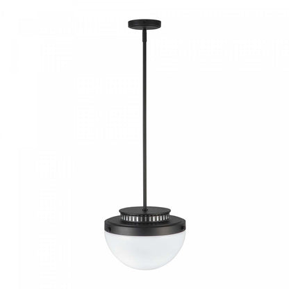 Lampe suspendue Dahlia à 1 ampoule 12, lampe noire | Suspension A 1 lampe Dahlia De 12 po, Noire